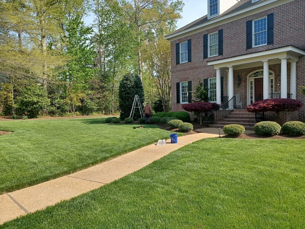 Crew member on a ladder trimming a tree beside a manicured front lawn